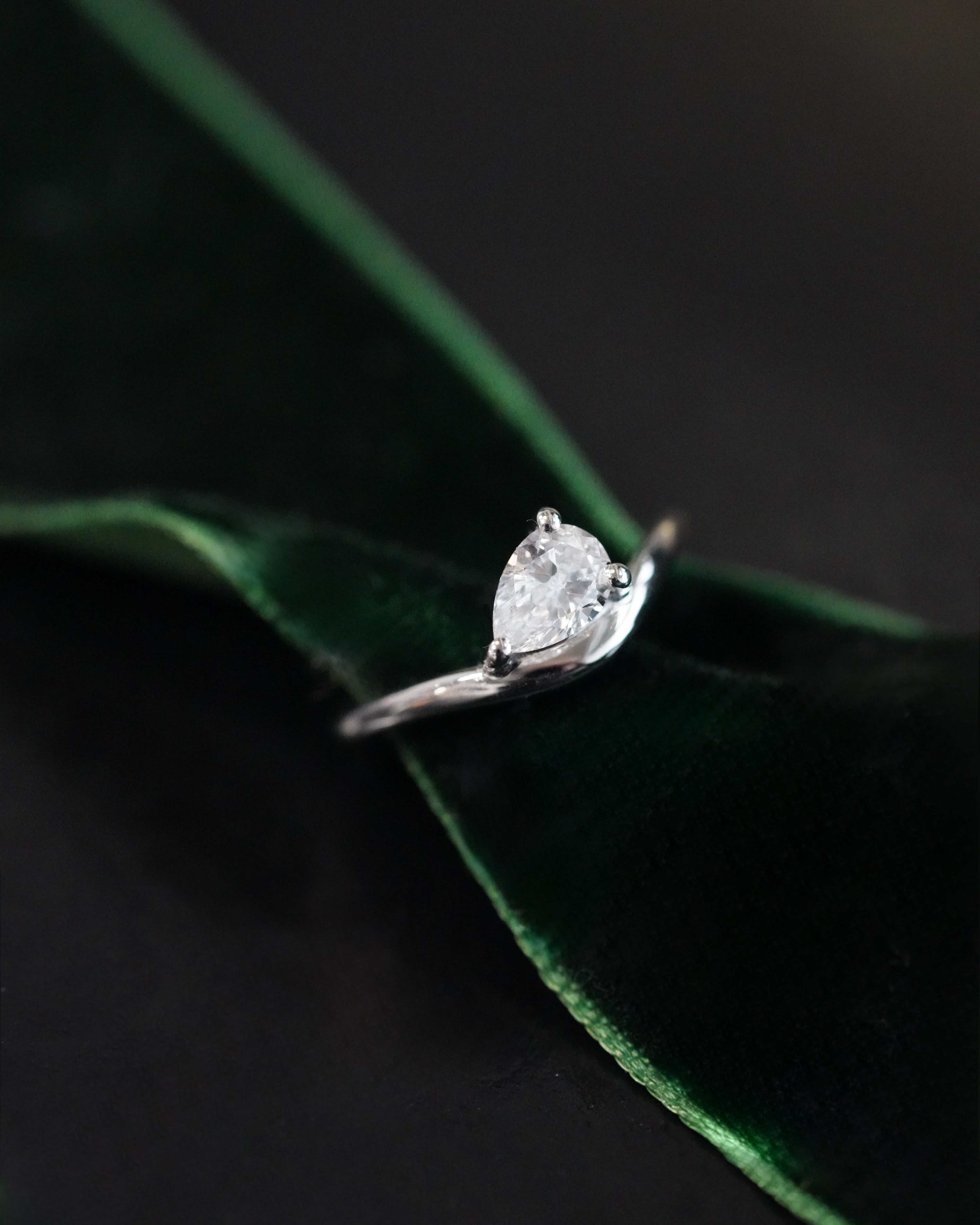 Diamond ring on a green leaf against a dark background