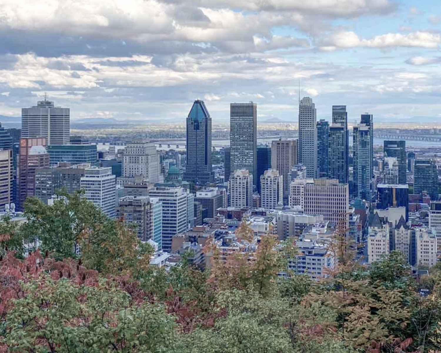 Best Places to Propose in Montreal